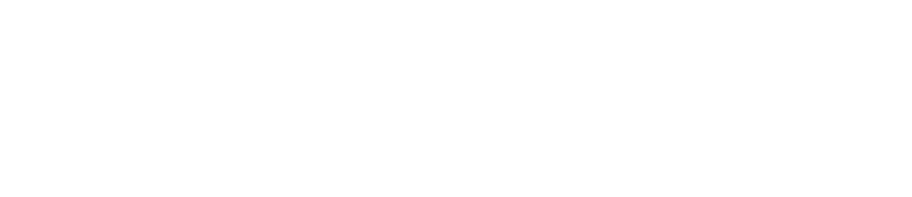 White Bison Home Service Logo